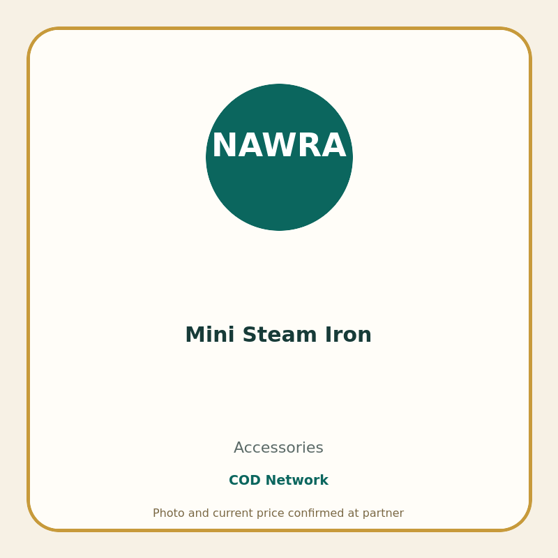 Mini Steam Iron