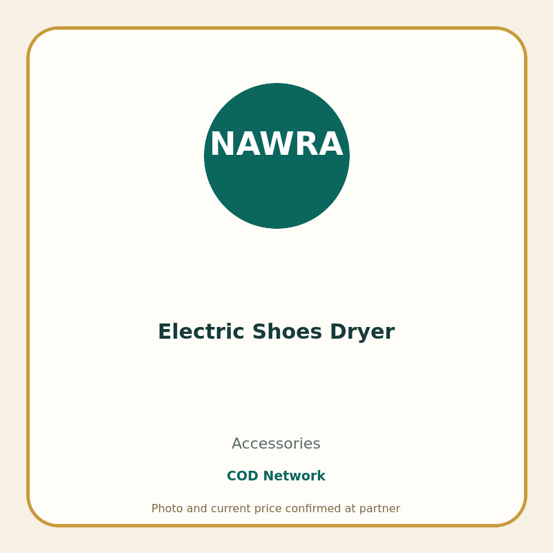 Electric Shoes Dryer
