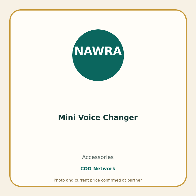 Mini Voice Changer