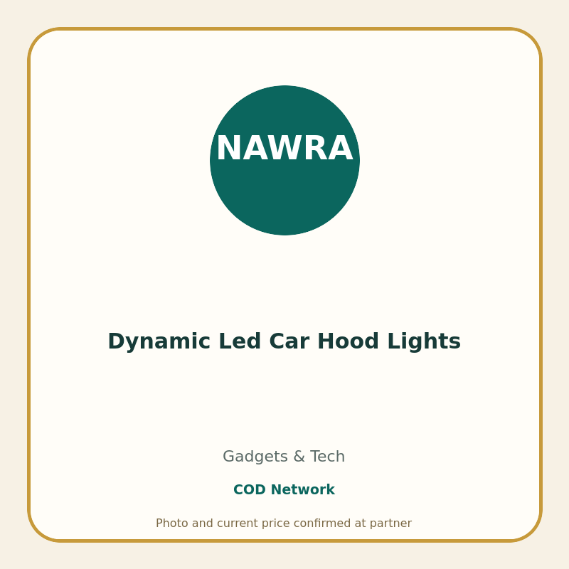 Dynamic Led Car Hood Lights