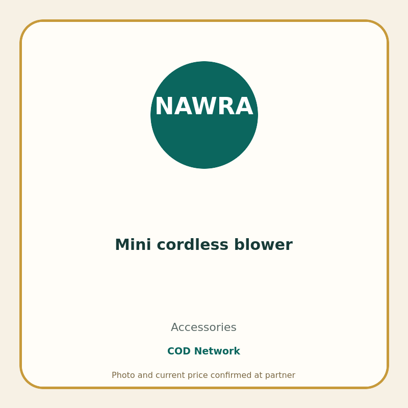 Mini cordless blower