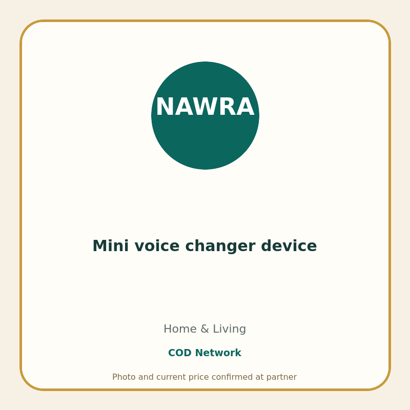 Mini voice changer device