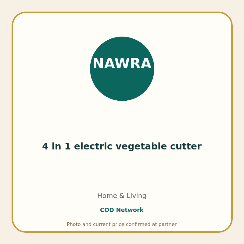 4 in 1 electric vegetable cutter
