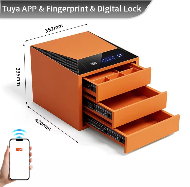 CEQSAFE Smart Jewelry Organizer with Fingerprint Lock - 3 Layers