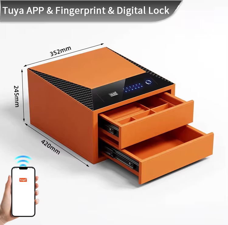 CEQSAFE Smart Digital Lock Jewelry Safe Box - 2 Layers