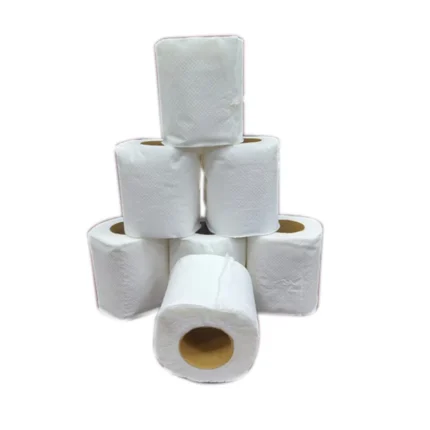 Toilet Roll Embossed & Perforated 100 Sheets x 2 Ply – Soft & Strong Bathroom Tissue