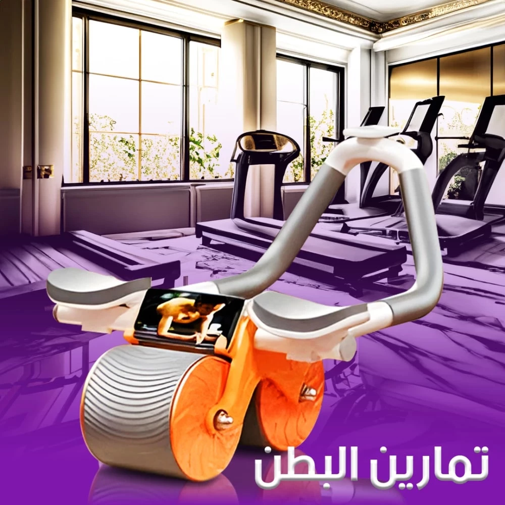 Dual-Wheel Abdominal Roller with Support